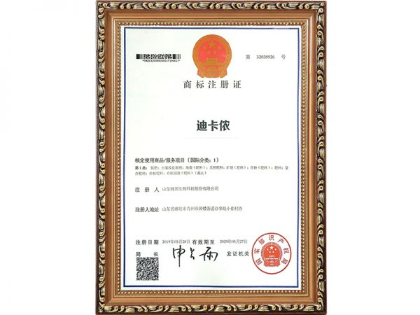 資質證書